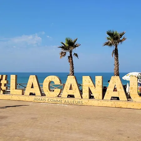 Les As Ii - Maisonnette 4 Personnes Secteur Pipeyrous A Ocean Mae-0741 *